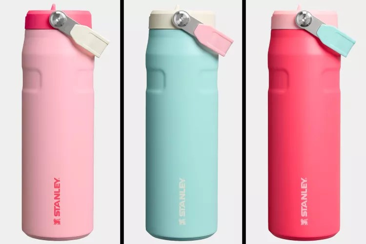 Travelers Are Running to Amazon to Get These New Stanley Spring Water Bottle Colors Before They Sell&nbsp;Out